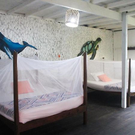 Refugio Mr Jerry Eco House Ξενοδοχείο Bahia Solano Εξωτερικό φωτογραφία